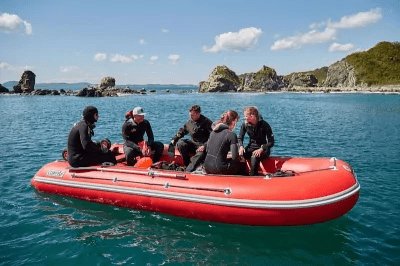 Купить Лодка ПВХ COMPAS 500