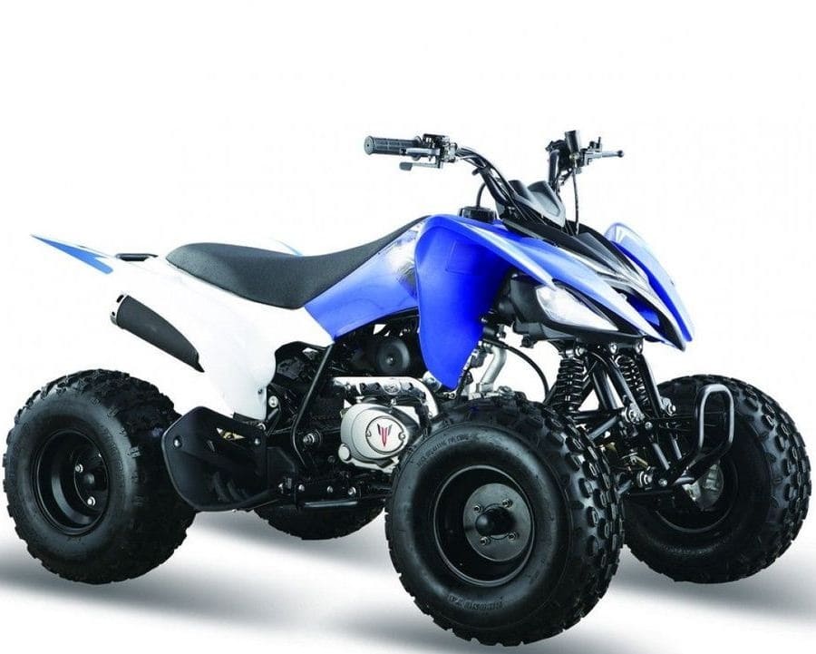 Купить Квадроцикл МОТОМИР Pantera 125