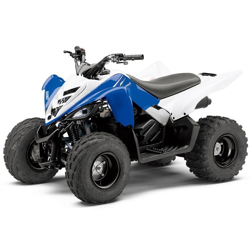 Купить Квадроцикл YAMAHA YFM90R (Raptor 90)