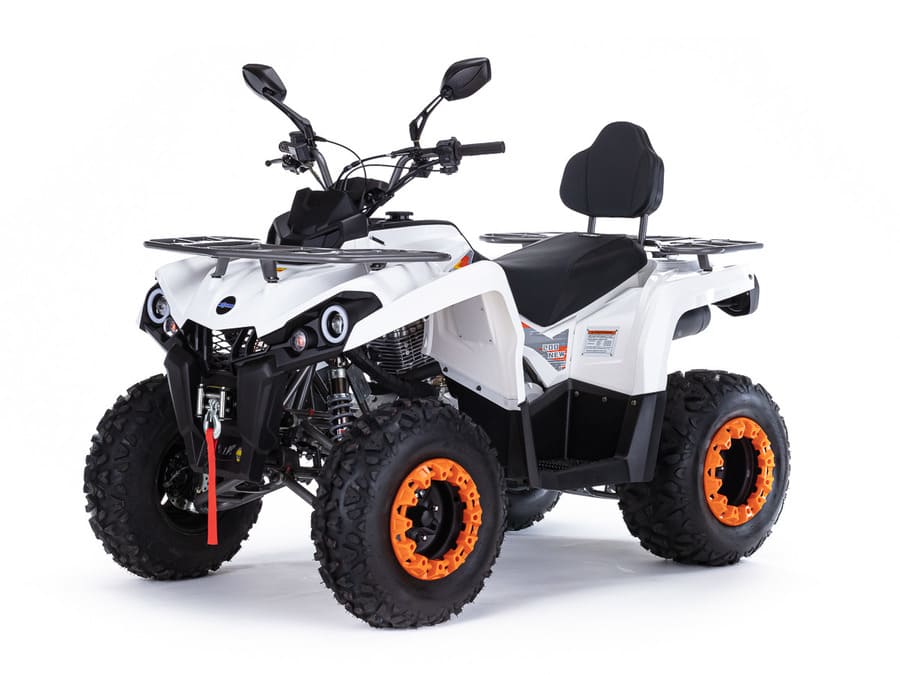 Купить Квадроцикл MOTAX ATV Grizlik 200 Ultra
