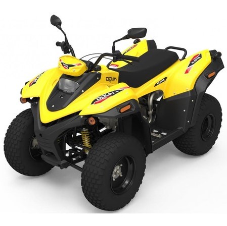 Купить Квадроцикл STELS ATV 110A Hugo