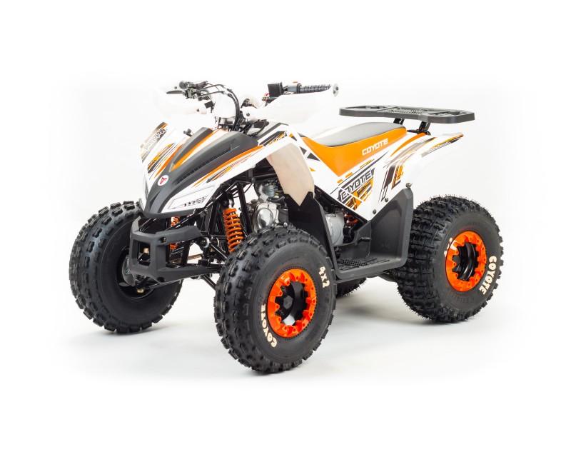 Купить Квадроцикл MOTOLAND 125 Coyote (2021 Г.)
