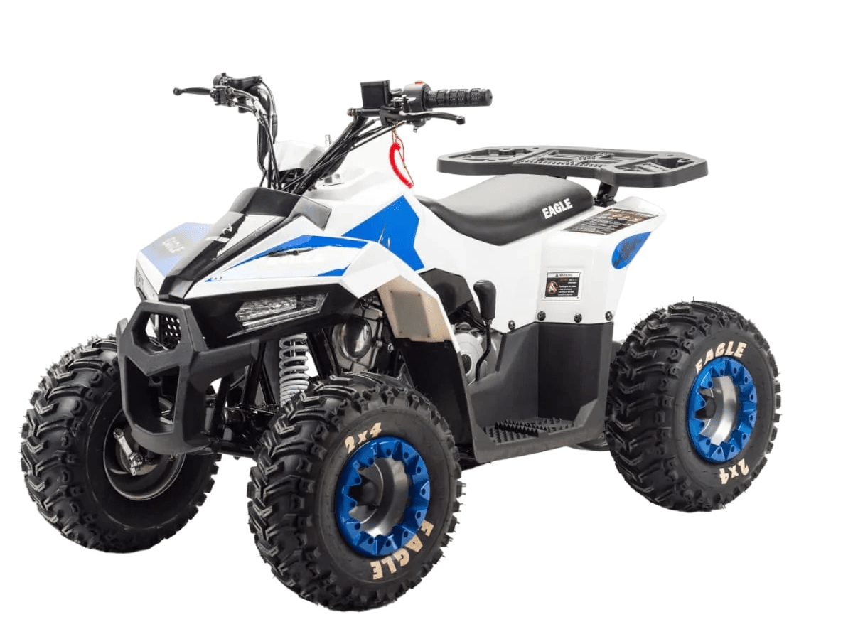 Купить Квадроцикл MOTOLAND 110 Eagle (2021 Г.)
