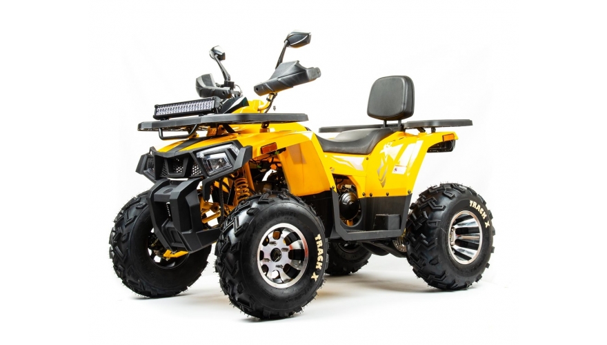 Купить Квадроцикл BISON Track X PRO