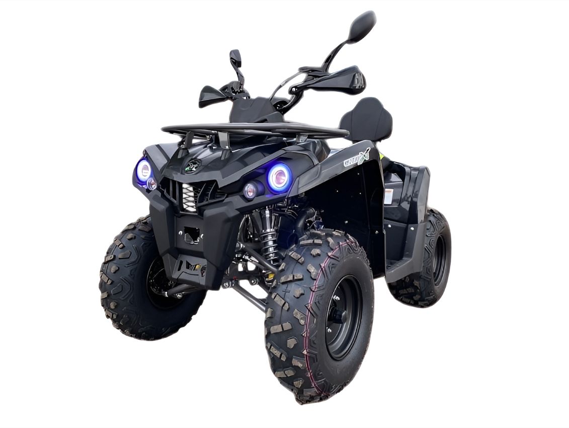 Купить Квадроцикл GLADIATOR F200 Premium