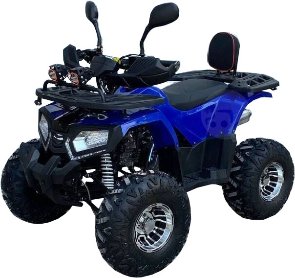 Купить Квадроцикл GRIZZLY Aerox 125cc New 2022