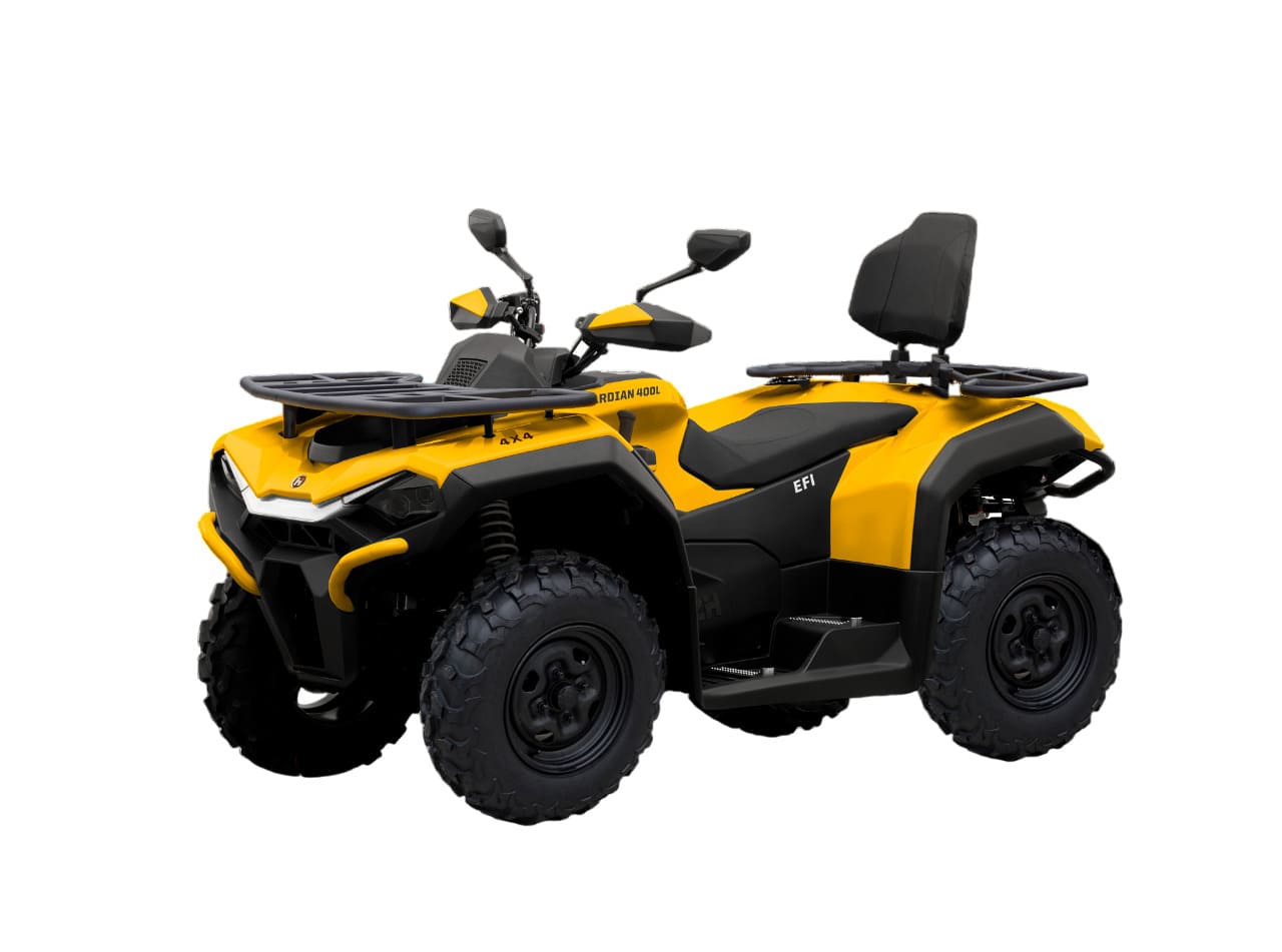 Купить Квадроцикл HISUN Guardian 400L Long