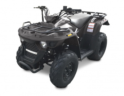 Купить Квадроцикл LINHAI-YAMAHA M150