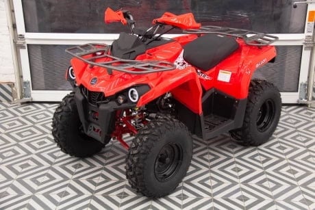 Купить Квадроцикл MIKILON Hammer 200L Pro