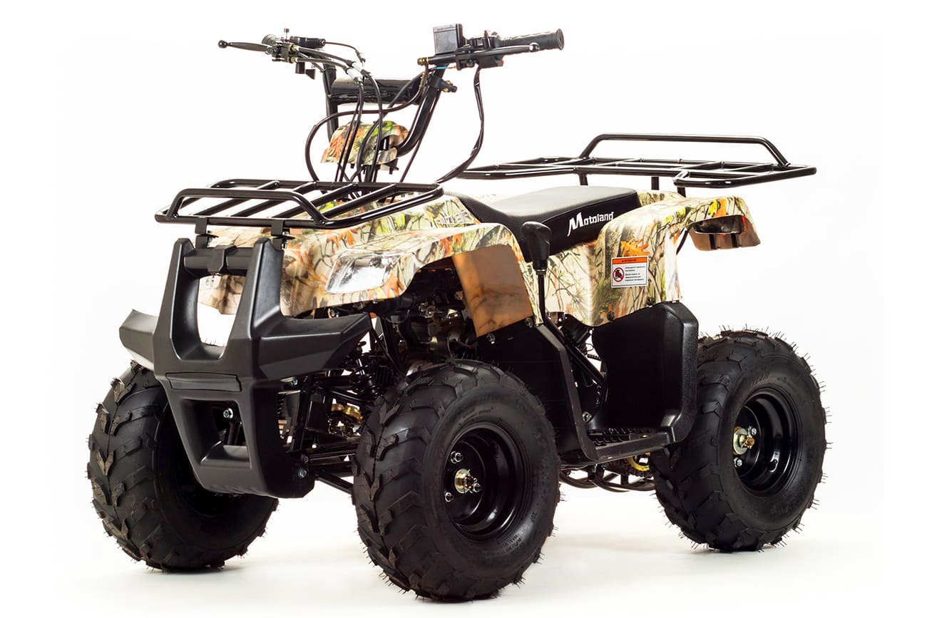 Купить Квадроцикл MOTOLAND 110 Rider (2021 Г.)