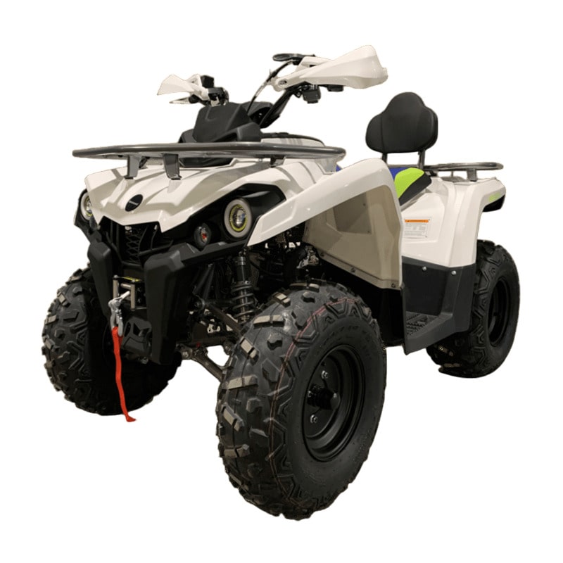 Купить Квадроцикл MOTOLAND Shark 200