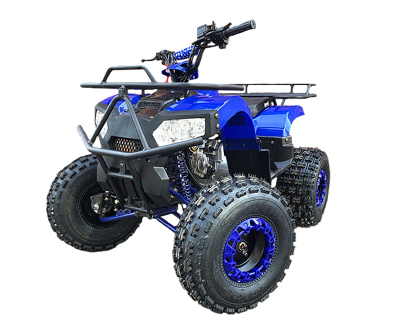 Купить Квадроцикл MOWGLI Bold 8