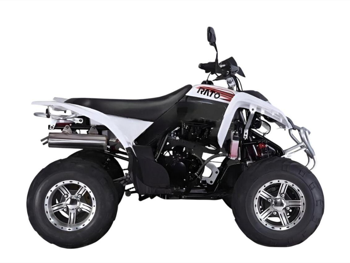 Купить Квадроцикл RATO RТ250SТ-2