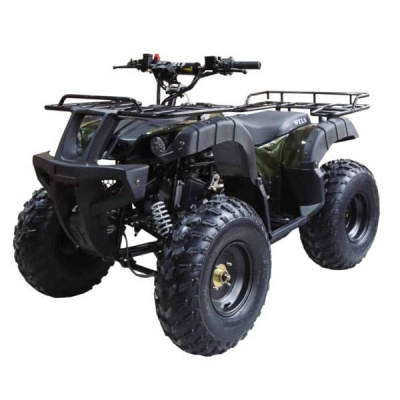 Купить Квадроцикл WELS ATV Thunder 150