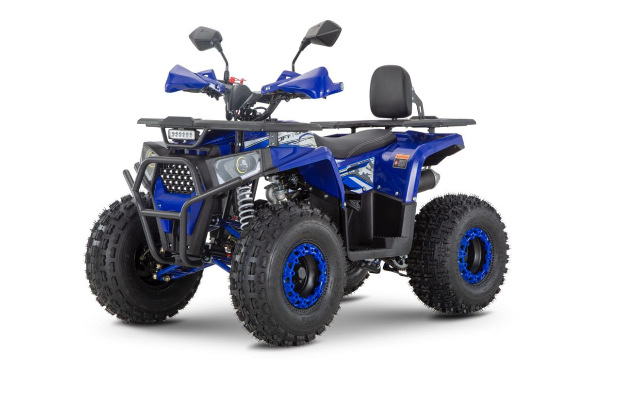 Купить Квадроцикл WELS Thunder Trail 125 Pro