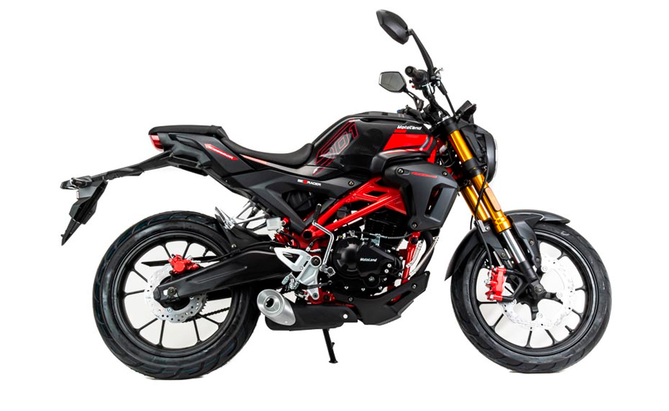 Купить Мотоцикл MOTOLAND 501 (172FMM-5/PR250) ТУРЭНДУРО