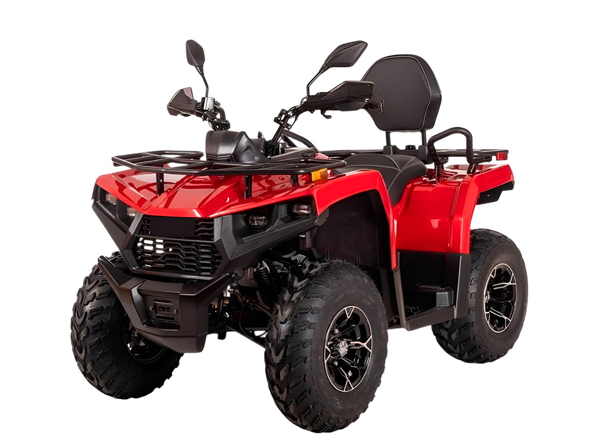 Купить Квадроцикл BIZON YK200 Basic Carb