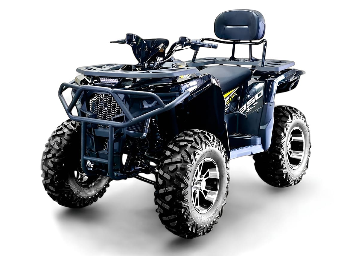 Купить Квадроцикл BIZON ZX350