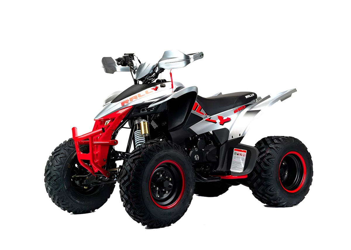 Купить Квадроцикл MOTOLAND Rally 250