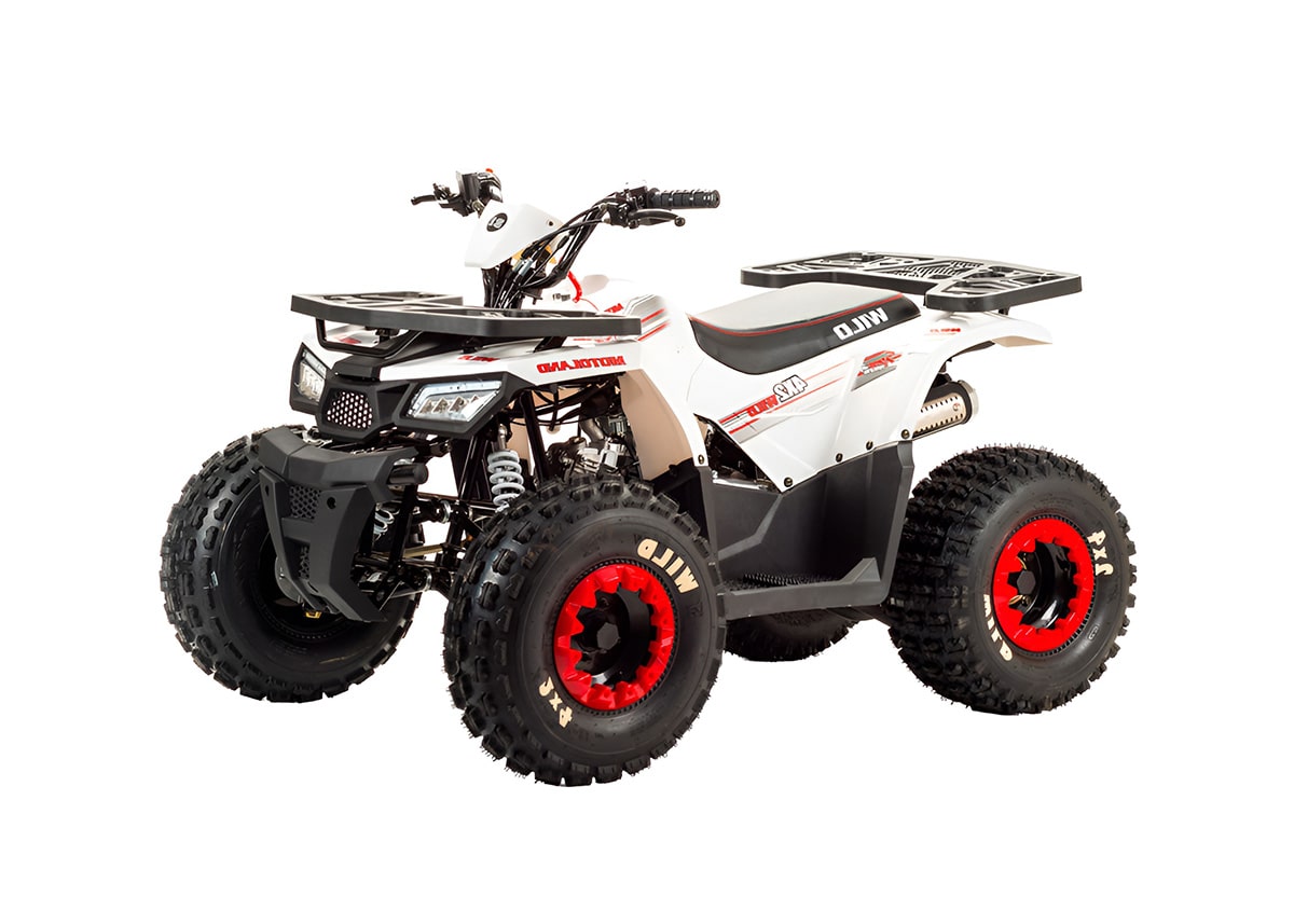 Купить Квадроцикл MOTOLAND 125 Wild