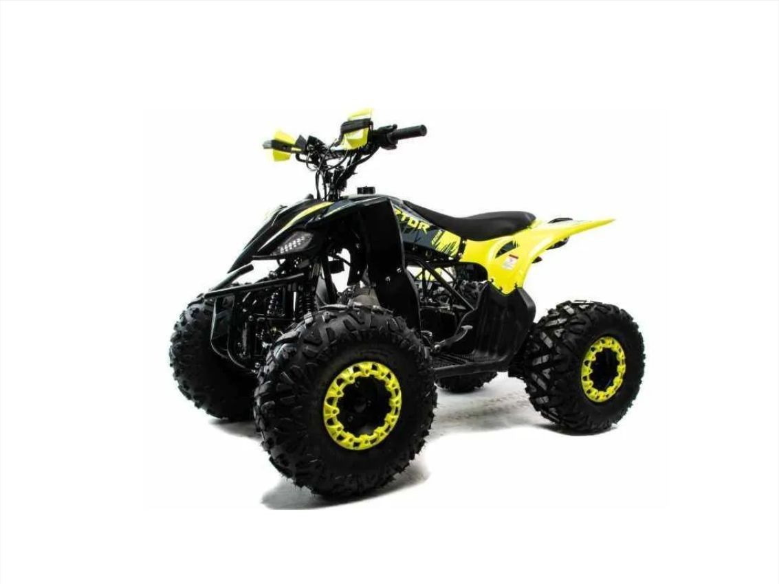 Купить Квадроцикл MOTOLAND ATV Raptor A 125