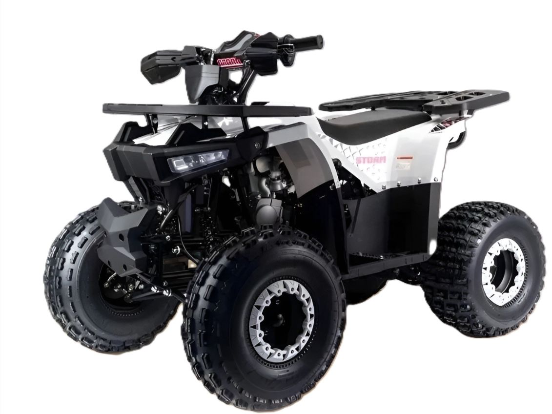 Купить Квадроцикл MOTOLAND Storm A 125