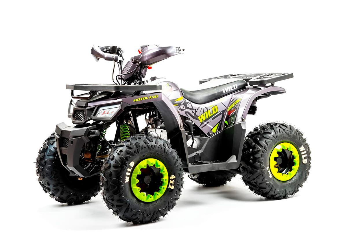 Купить Квадроцикл MOTOLAND Wild Basic 125