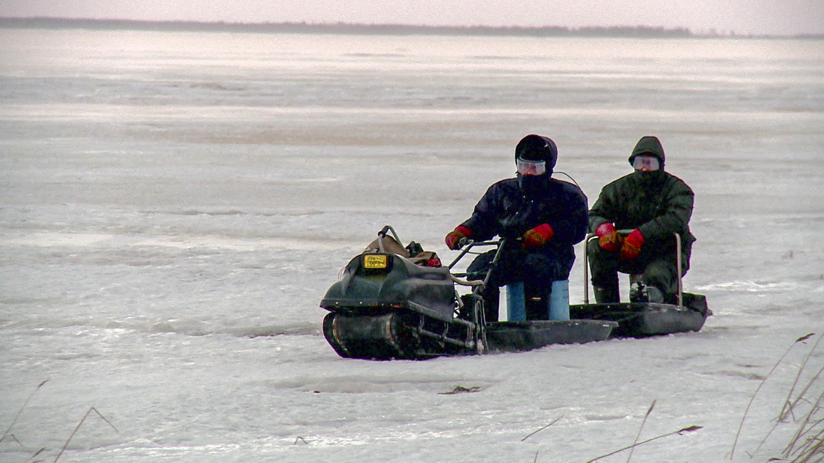 Заставка статьи