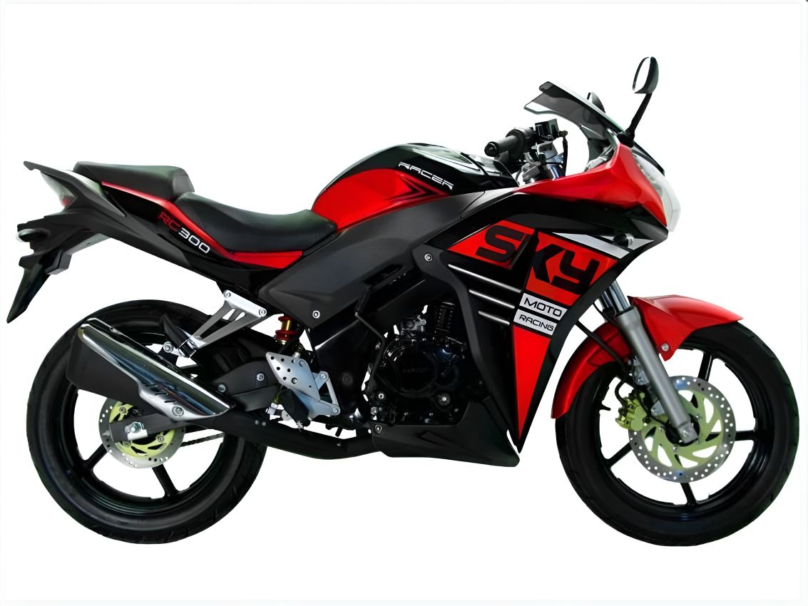 Купить Мотоцикл RACER Skyway RC300CS ENDURO