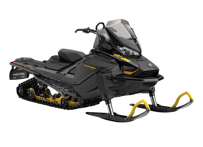 Купить Снегоход BRP Ski Doo Tundra LE 600 Ace