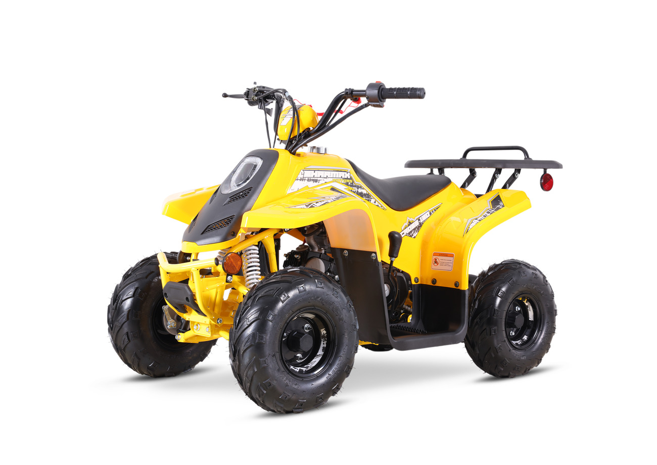 Купить Квадроцикл SHARMAX 130 Cross