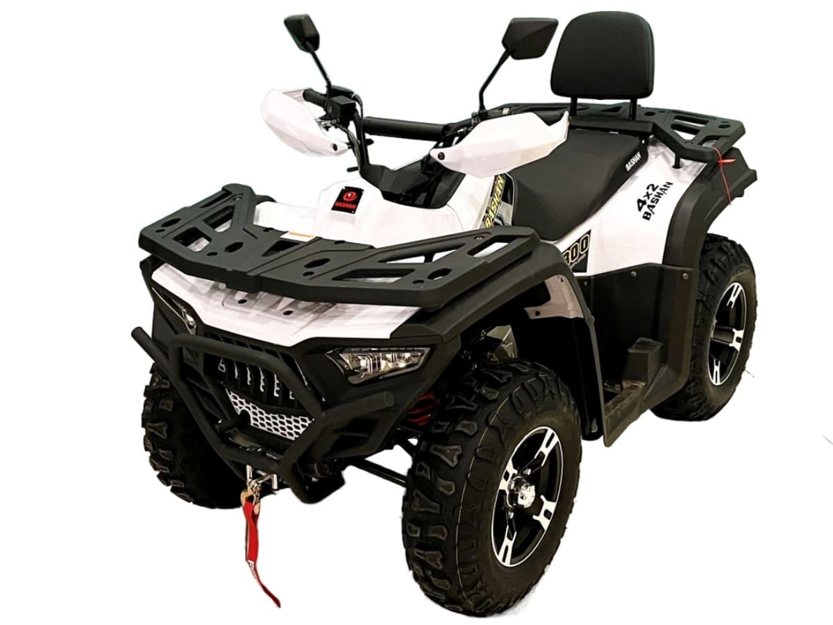 Купить Квадроцикл BASHAN Explorer 300 Winch