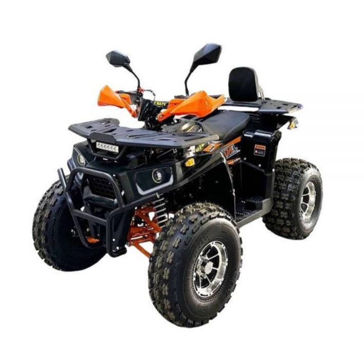 Купить Квадроцикл BISON AFN 125