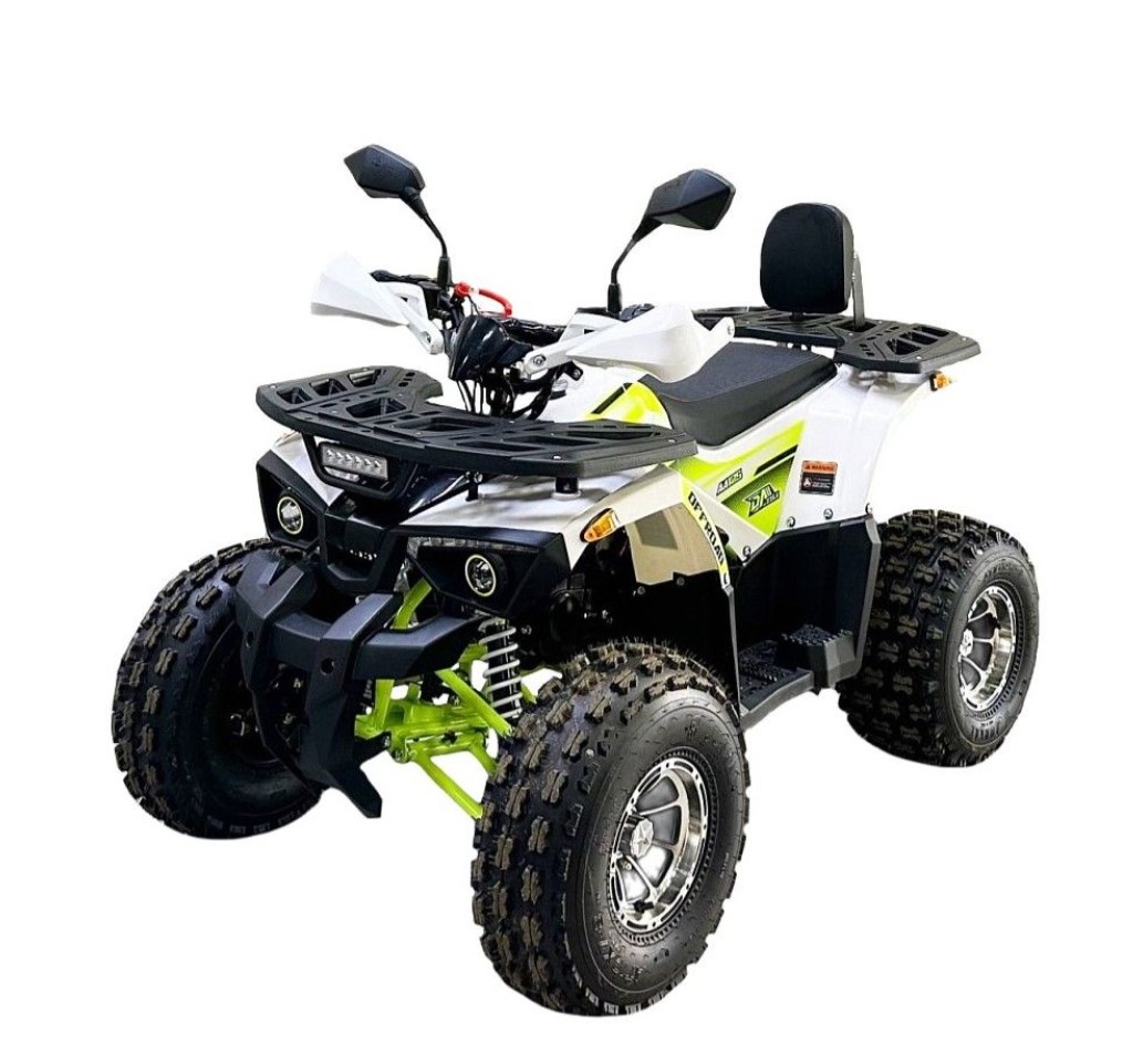 Купить Квадроцикл BISON Miravel 125 Lux