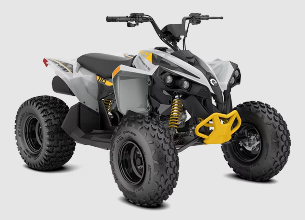 Купить Квадроцикл BRP Сan-am Renegade X XC 110 EFI (2025)