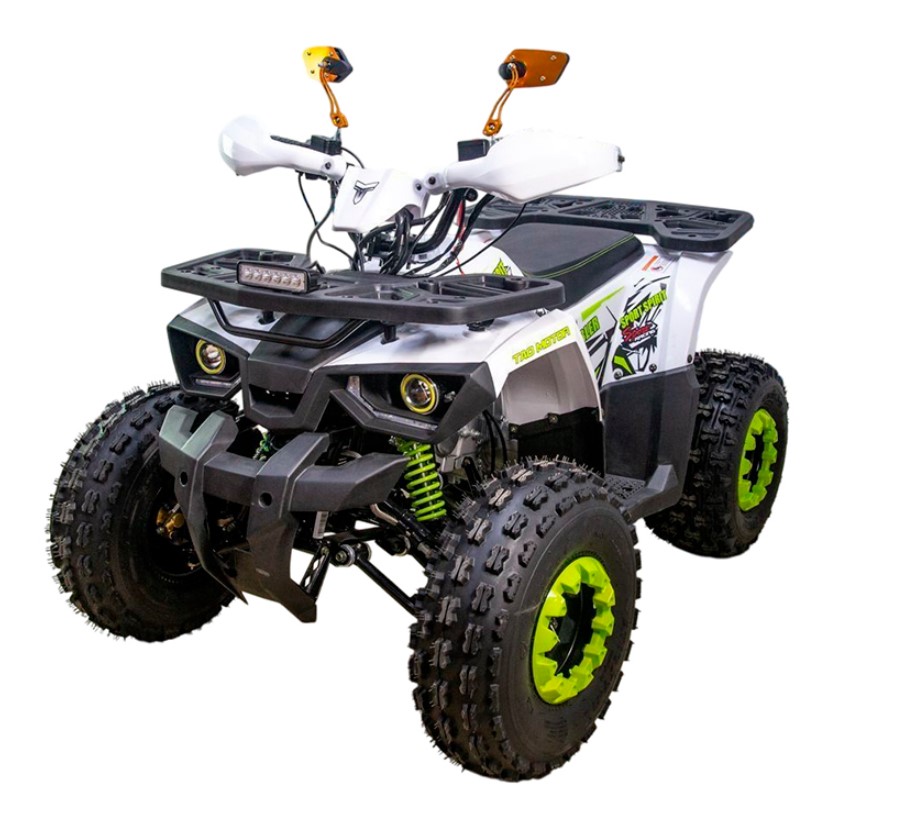 Купить Квадроцикл GAOBO Kids 125 LD