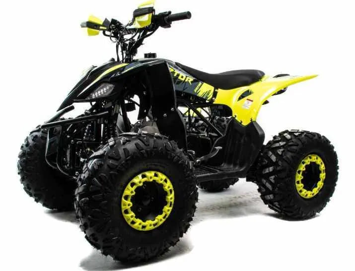 Купить Квадроцикл MOTOLAND 125 Raptor
