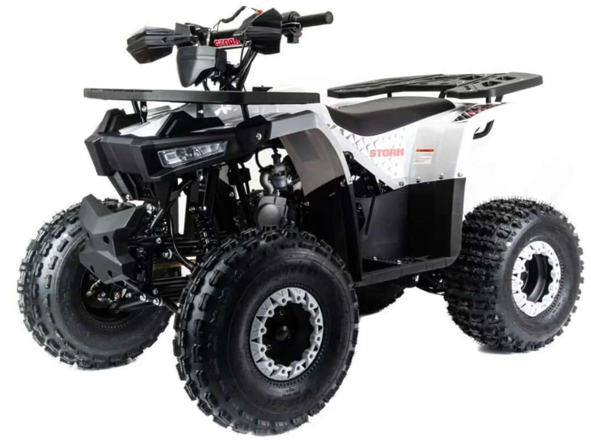 Купить Квадроцикл MOTOLAND ATV 125 Storm