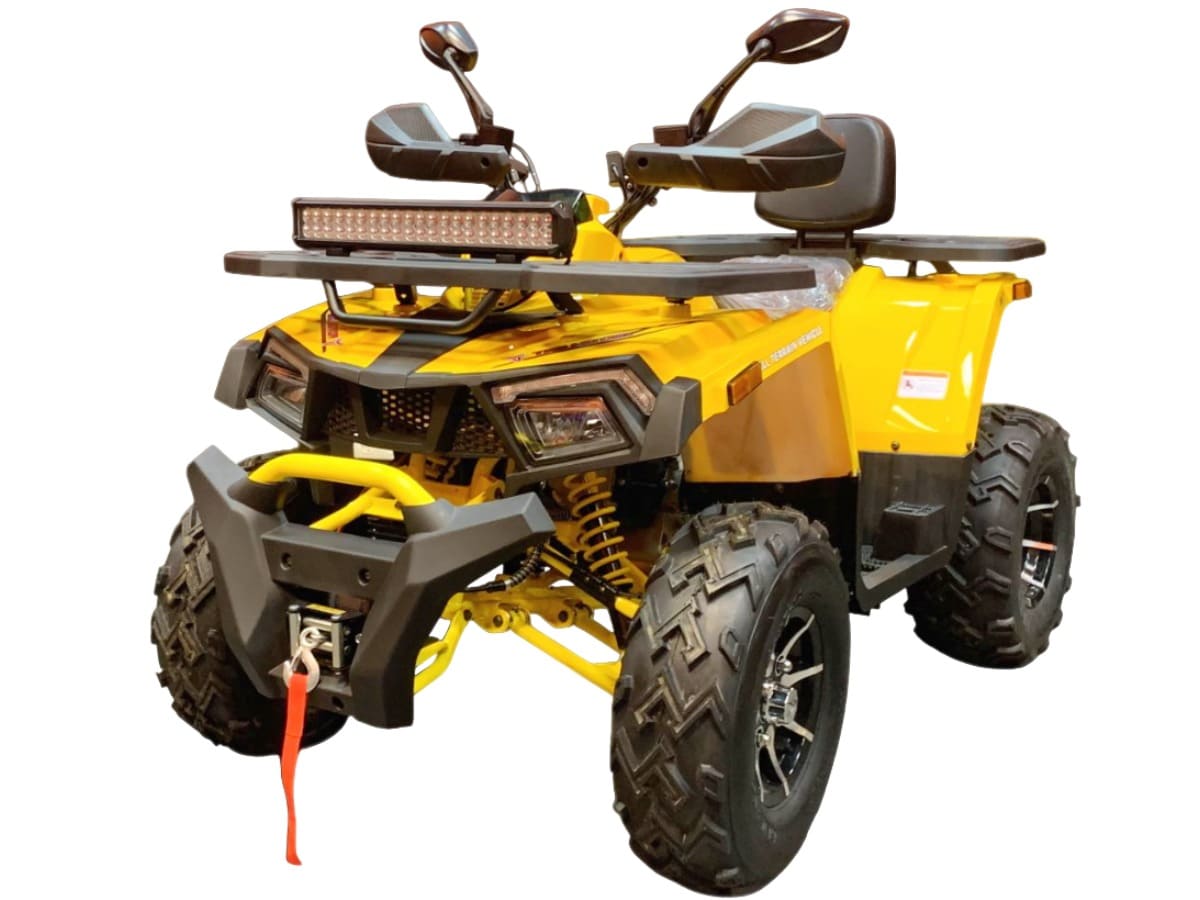 Купить Квадроцикл MOTOLAND Wild Track X Pro 200 (баланс. вал)