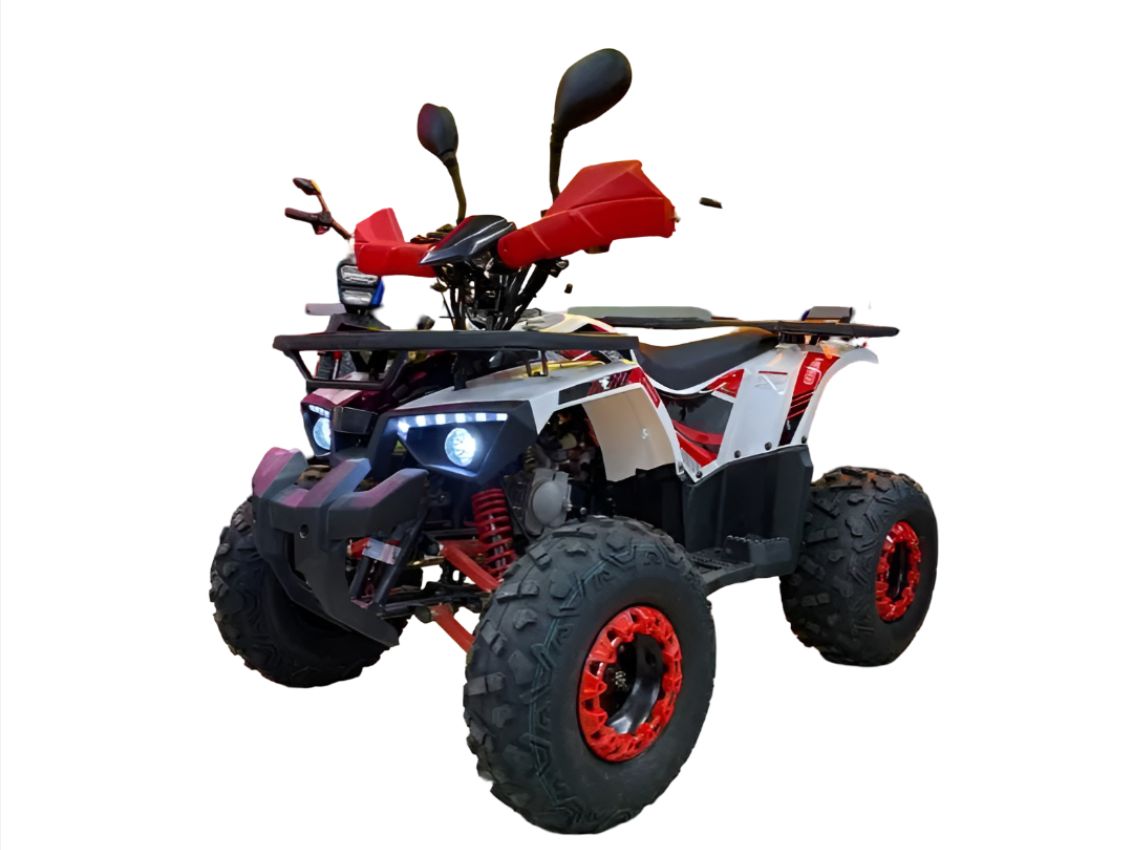 Купить Квадроцикл MOTORHEAD Hammer 125