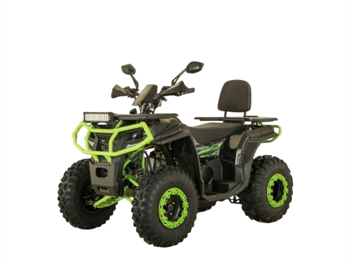 Купить Квадроцикл VIKING LONG 250