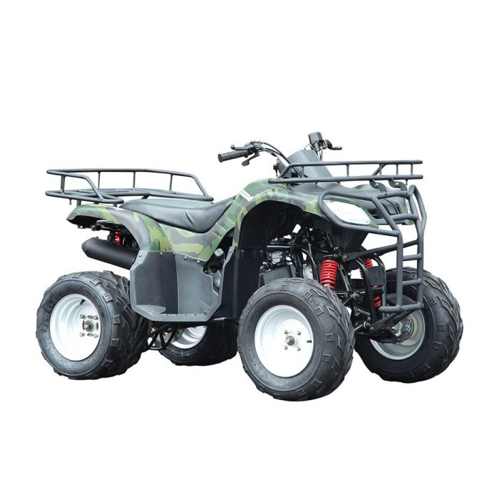 Купить Квадроцикл WELS Purga 170