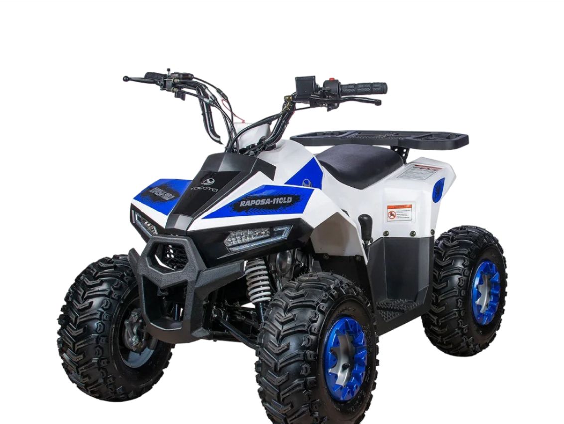 Купить Квадроцикл YACOTA Raposa Pro Sport