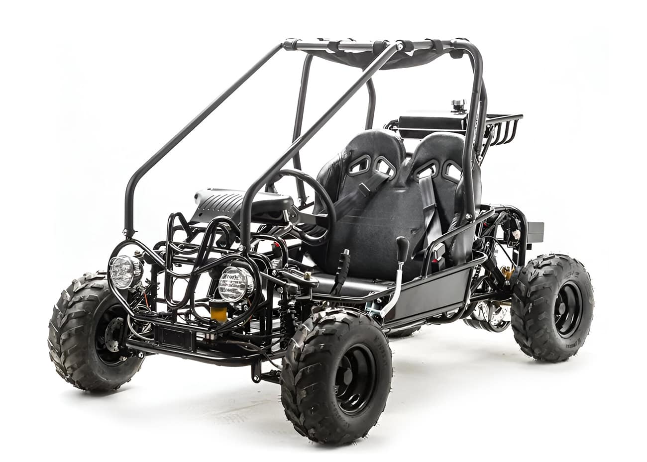 Купить Багги MOTOLAND Gokart 125