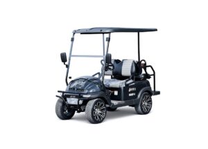 Купить Гольфкар HiSUN HS2DGF-3