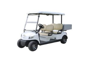 Купить Гольфкар MARSHELL DG-M4