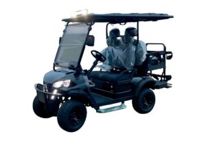 Гольфкар TRAVELPARK 2+2 DC купить в Нижнем Новгороде