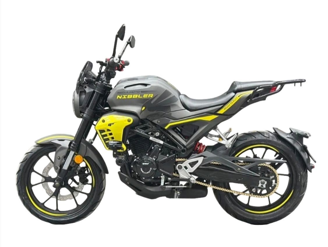 Купить Мотоцикл REGULMOTO Nibbler 300 4V