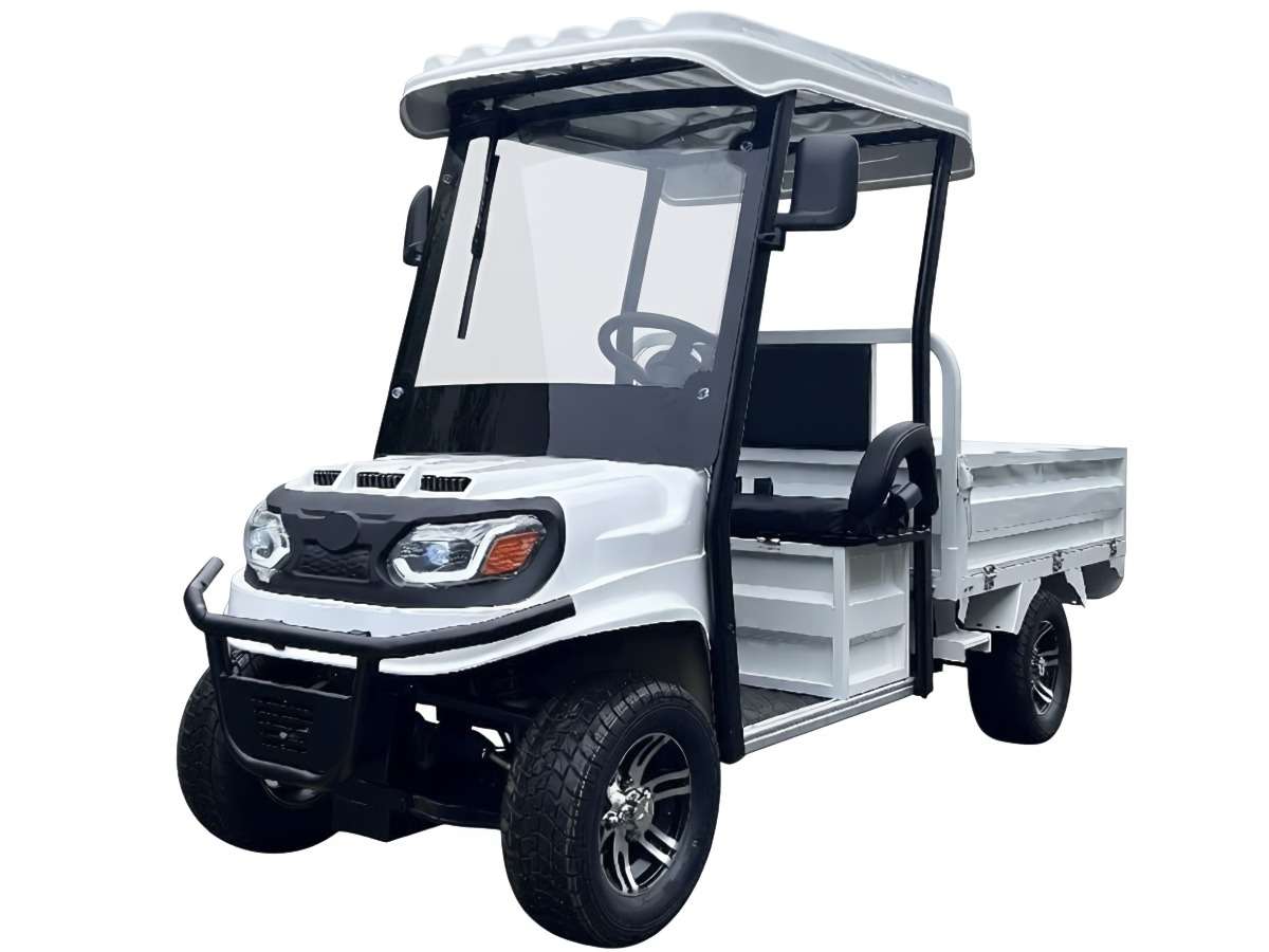 Купить Гольфкар GREENCAMEL Сонора A2C 1500 (2+Cargo 1800W R10)