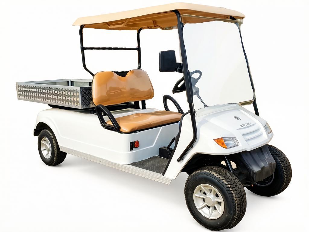 Купить Гольфкар VOLTUS GFC2